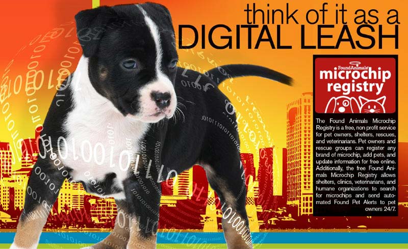 Found Animals Ad Design By A Digital Mind