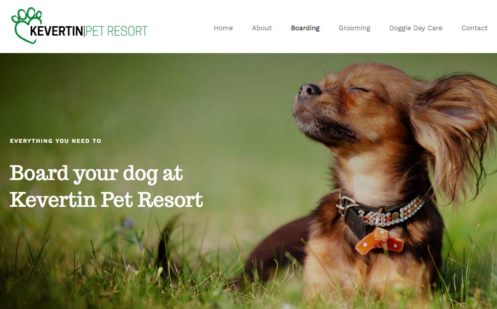 Kevertin Pet Resort Website Design A Digital Mind